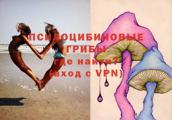 амф Алзамай