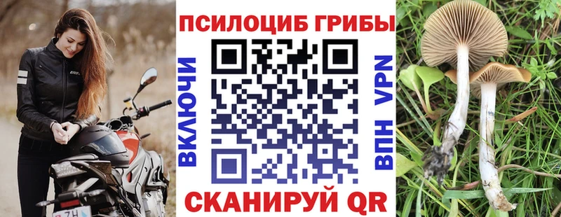 Галлюциногенные грибы мицелий  Бавлы 